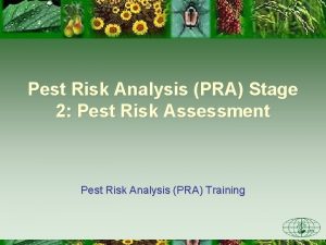 Pest Risk Analysis PRA Stage 2 Pest Risk