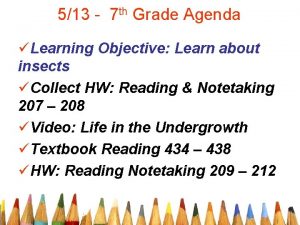 513 7 th Grade Agenda Learning Objective Learn