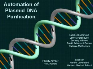 Automation of Plasmid DNA Purification Natalie Bloomhardt Jeffrey
