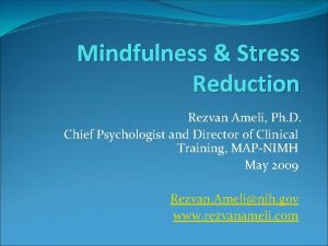 Mindfulness Stress Reduction Rezvan Ameli Ph D Chief