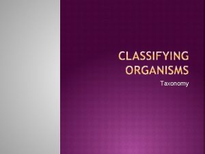 Taxonomy science of classifying organisms groups related organisms