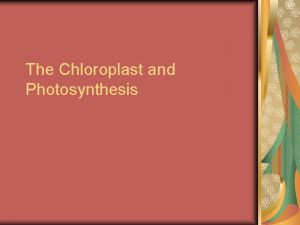 The Chloroplast and Photosynthesis Photosynthesis What are oxygenic