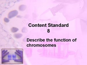 Functions of chromosomes
