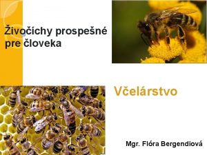 ivochy prospen pre loveka Velrstvo Mgr Flra Bergendiov