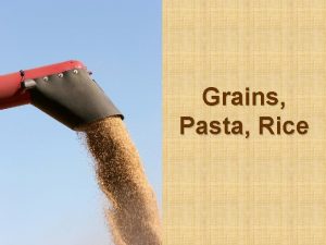 Grains Pasta Rice Grains Definition single hard seed