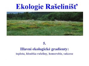 Ekologie Raelini 5 Hlavn ekologick gradienty teplota hloubka