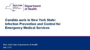 Candida auris in New York State Infection Prevention