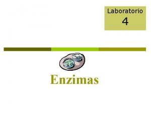 Riboenzimas Riboenzimas