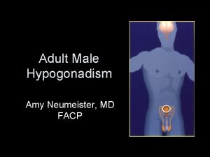 Adult Male Hypogonadism Amy Neumeister MD FACP Objectives