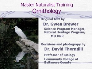 Maryland master naturalist
