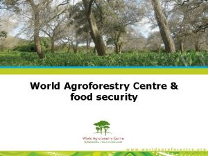 World Agroforestry Centre food security About the World