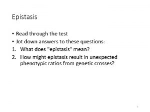 Recessive epistasis in mice