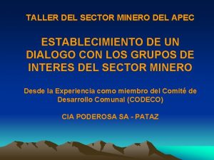 TALLER DEL SECTOR MINERO DEL APEC ESTABLECIMIENTO DE