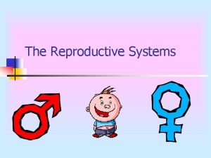 Male function Male function