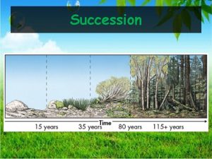Succession Daily Objectives Describe how ecosystems recover from