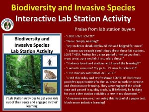 Biodiversity lab activity