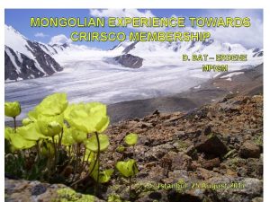 MONGOLIAN EXPERIENCE TOWARDS CRIRSCO MEMBERSHIP D BAT ERDENE