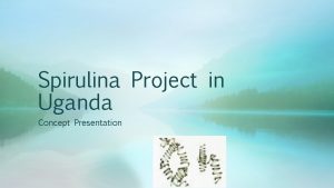 Spirulina Project in Uganda Concept Presentation Context Uganda
