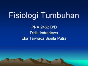 Fisiologi Tumbuhan PNA 2462 BD Didik Indradewa Eka