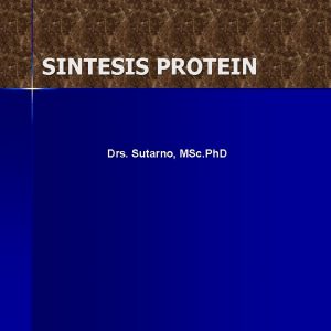 SINTESIS PROTEIN Drs Sutarno MSc Ph D Aliran