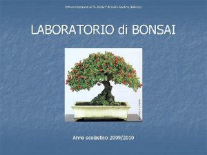 Scuola rodari agliana Scuola rodari agliana