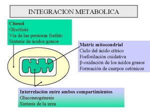 Vias metabolicas que ocurren en el citosol