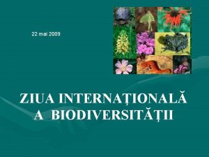 22 mai 2009 ZIUA INTERNAIONAL A BIODIVERSITII nveliul