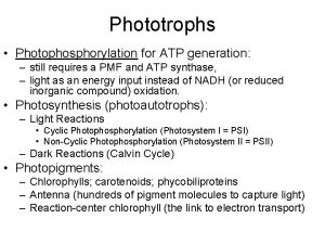 Phototrophs Photophosphorylation for ATP generation still requires a