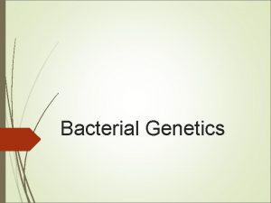 Bacterial Genetics GENETICSStudy of genes their structure function