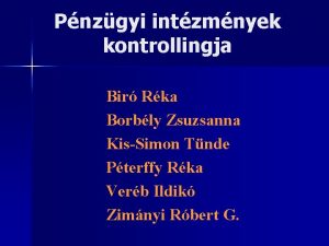 Pnzgyi intzmnyek kontrollingja Bir Rka Borbly Zsuzsanna KisSimon