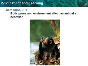 27 2 Instinct and Learning KEY CONCEPT Both