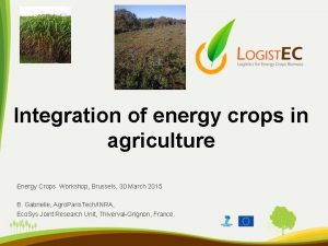 Integration of energy crops in agriculture Energy Crops