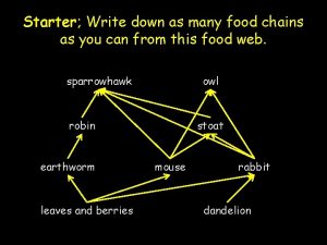 Starter Write down as many food chains as