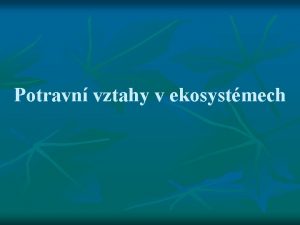 Potravn vztahy v ekosystmech Typy organism n n