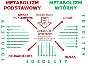 METABOLIZM PODSTAWOWY I D I O L I