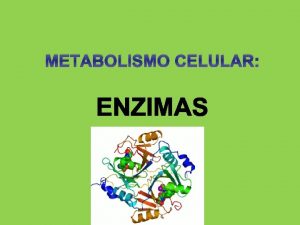 METABOLISMO CELULAR Concepto de metabolismo El metabolismo es