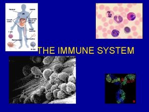 THE IMMUNE SYSTEM Blood Cells Cells of the