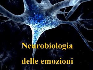 Neurobiologia delle emozioni Il sistema nervoso centrale periferico