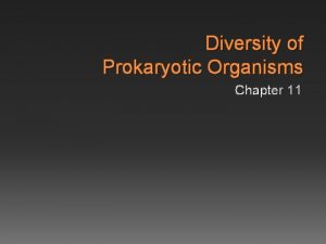 Diversity of Prokaryotic Organisms Chapter 11 Early Beginnings