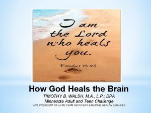 How God Heals the Brain TIMOTHY B WALSH