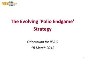 The Evolving Polio Endgame Strategy Orientation for IEAG