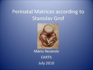 Stanislav grof matrices perinatales