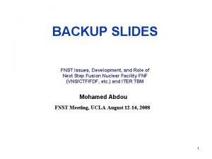 BACKUP SLIDES FNST Issues Development and Role of