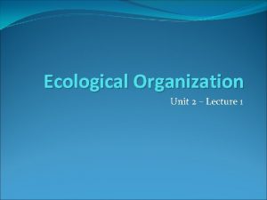 Ecological organization