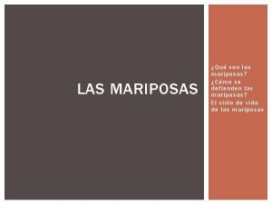 Partes de la mariposa