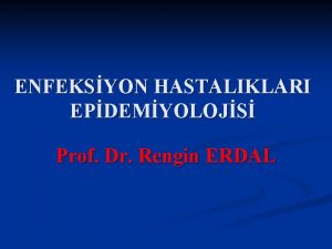 Rengin erdal