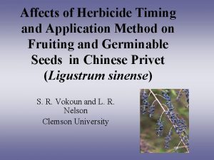 Affects of Herbicide Timing and Application Method on
