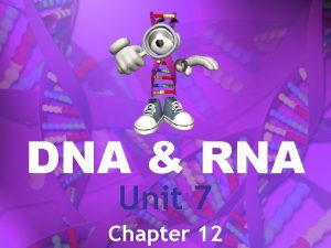 DNA RNA Unit 7 Chapter 12 DNA Deoxyribonucleic