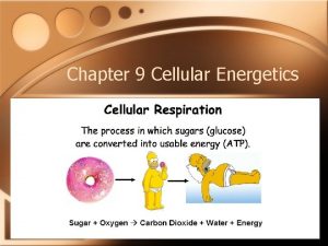 Chapter 9 Cellular Energetics Energy Production This chapter