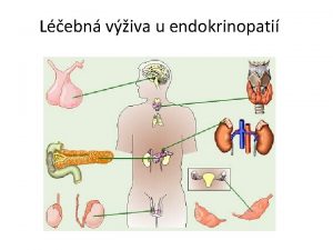 Lebn viva u endokrinopati Osnova 1 2 3